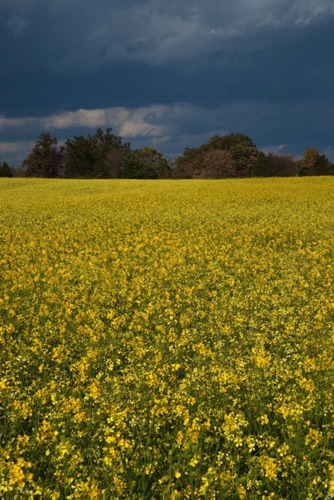 Ross Corner, Sussex County, NJ (MF).jpg